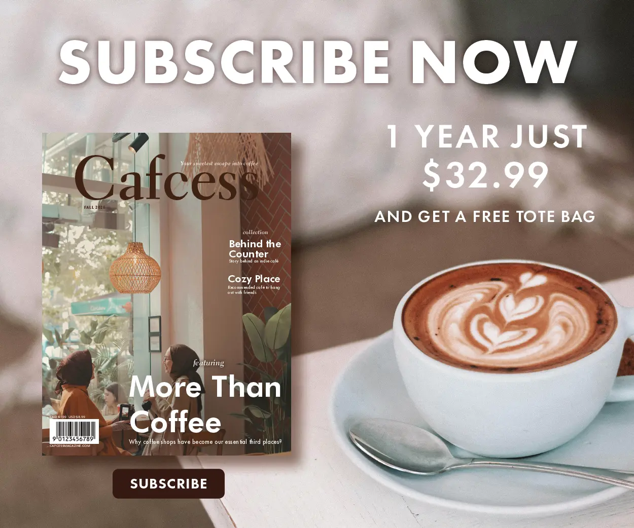 Cafcess web ad