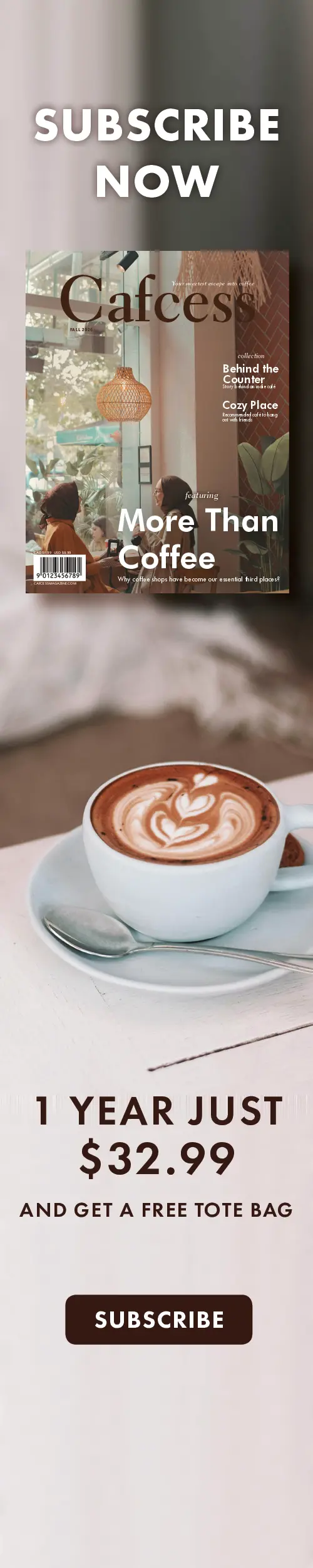 Cafcess skyscraper web ad